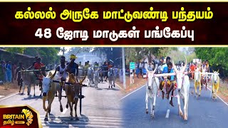 கல்லல் அருகே மாட்டுவண்டி பந்தயம்  48 ஜோடி மாடுகள் பங்கேப்பு