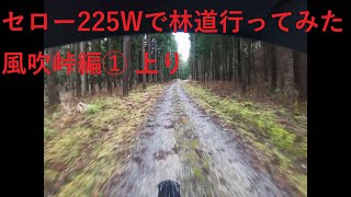 セロー225Wで林道行ってみた 風吹峠編① 上り