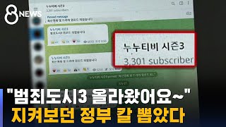 '도둑 시청' 누워서 떡 먹기…지켜보던 정부 칼 뽑았다 / SBS 8뉴스