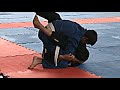 arthan bandeira jiu jitsu.