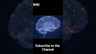 AI can read our minds | Osaka university  | Images reconstruct from MRI scans using stable diffusion