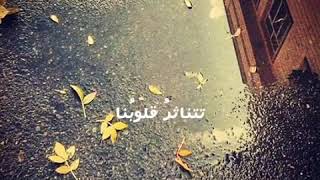 خاطرة 3 |بعنوان| طريق |