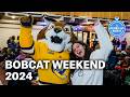 Bobcat Weekend 2024 | A Quinnipiac Minute