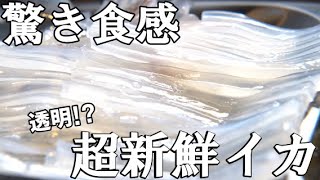 【函館グルメ】函館朝市でイカ釣り体験！他では味わえない新鮮さに驚き！｜函館観光｜Vlog