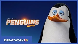 Meet Kowalski | PENGUINS OF MADAGASCAR