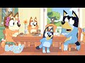 ¿Quién Fluffied? | Reunión familiar | Bluey Español Canal Oficial