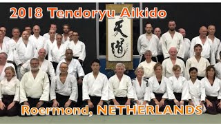 【海外指導】Roermond, NETHERLANDS / 2018 Tendoryu Aikido Dojocho Kenta Shimizu