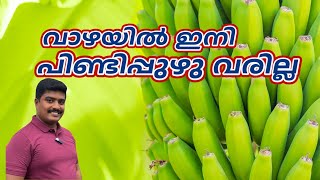 വാഴ കൃഷി ജൈവ രീതിയിൽ ।Banana Farming Techniques @Nature_signature