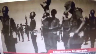 2ኛው አብዮታዊ ሠራዊት ኤርትራን ለቆ የወጣው ተሸንፎ ሳይሆን በአሥመራ ሬድዮ ባስተላለፈው ማስጠንቀቂያ በሱዳን በኩል ነው