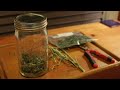 how to trim marijuana timelapse