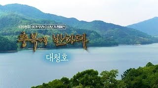 [충북에 반하다] 대청호