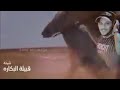 شيله البكارة ...مهند صغير ..حسن البدراني