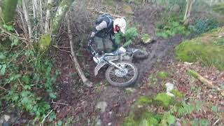 NWTRF 12jan18 Dolgarrog Hill