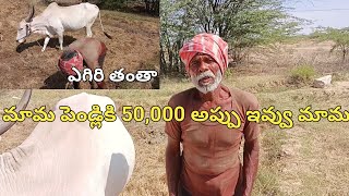 పెండ్లికి 50,000rs అప్పు ఇవ్వు మామ..full comedy