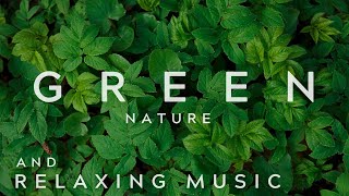 Breath and Relax with Green | Relaxing Music | Sleep Better With Nature Sounds