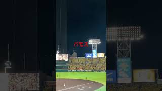 甲子園球場　7回裏　バモス