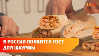 В Роскачестве разработали ГОСТ для шаурмы