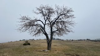 Sevdiğim havada sevdiğim yerdeyim / Bozkurt Karagöl / Sülüklü göl / Denizli Gezilecek yerler