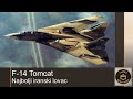 F-14 - najbolji iranski lovac