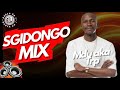 Sgidongo Mix 2026  | Mdu aka Trp | Tribesoul | Ntsako XVI | By Babza Da J #amapianomix 