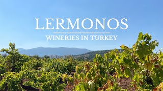 Wineries in Turkey: Lermonos