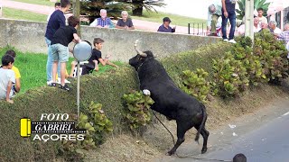 Tourada- Ponta Nova Feteira -R.B. 9- 10- 2022