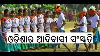 ଓଡିଶାର ଆଦିବାସୀ ସଂସ୍କୃତି - A Musical Journey