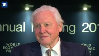 Sir David Attenborough honored with Crystal Award at Davos