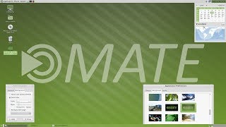 Linux Mint 18.2 'Mate Edition' - Quick Review