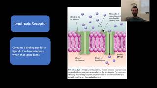 PSY210 Ch2 Pt4: Receptors and Ion Channels