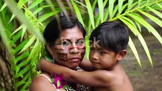 Amazon Rainforest - The Lungs of the Earth