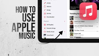 How to Use Apple Music on iPad (guide)