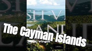 The Cayman Islands, Hidden Gem of the Caribbean💎 #caribbean #caymanislands #islandlife #stingray