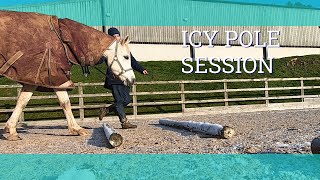 Groundwork poles for training an endurance horse  - Vlog 260 - Beth Endurance