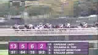 2005 Breeders Cup Distaff