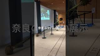 奈良のヤバい展示を紹介します。竹の先につけた諸々を燃やした美術が鎮座してます。　#shorts #nara #奈良