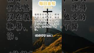 「每日金句」2024年4月5日 他被挂在木头上，亲身担当了我们的罪，使我们既然在罪上死，就得以在义上活。因他受的鞭伤，你们便得了医治。 (彼得前书 2:24)