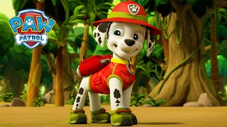 丛林小狗 🙊 - PAW Patrol 汪汪隊立大功 - 兒童卡通