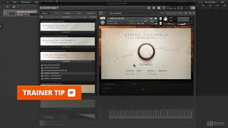 Symphony Essentials 101: Symphony Essentials Explored - 2. A Tour of the Instruments