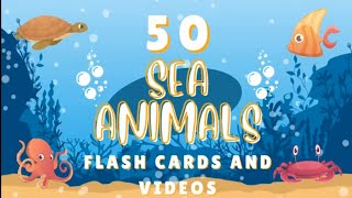 50 Sea Animals Flashcards and Videos - for Kids and Toddlers