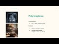 Polymorphism in Java Explained | Method Overloading & Overriding