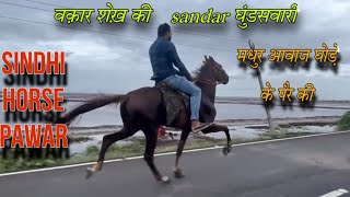 Discover the Thrilling World of Sindhi Horse Riding in Surat || Waqar Ustad