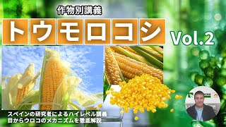 【科学的/徹底解説】その2 トウモロコシへのバイオスティミュラント施用②　農業技術の専門家が科学的に解説します