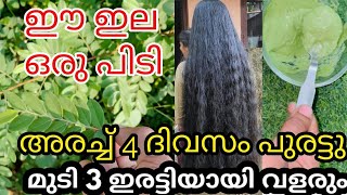 ഈ ഇല ഒരു പിടി അരച്ച് 4ദിവസം പുരട്ടു മുടി 3ഇരട്ടിയായി വളരും|ഈ ഇല ഏത് പ്രായത്തിലും മുടി വളർത്തും 😱#3