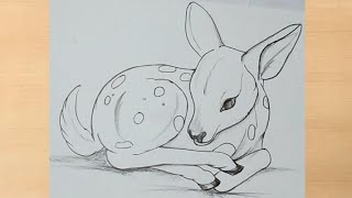 pencil drawing of Baby deer || simple deer drawing