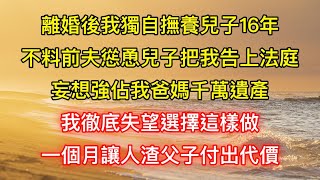 離婚後我獨自撫養兒子16年，不料前夫慫恿兒子把我告上法庭，妄想強佔我爸媽千萬遺產，我徹底失望選擇這樣做，一個月讓人渣父子付出代價