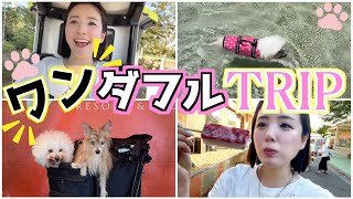 愛犬とお泊まり旅Vlog【ドギーズアイランド】