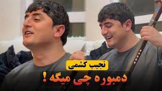 دمبوره چی میگه اوو جان | نجیب کشمی بهترین آهنگش | Best Dambora Najeeb Keshmi 2024