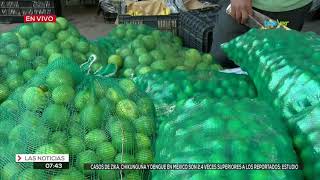 Reportan baja de precios en algunas frutas y verduras.