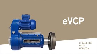 eVCP – Electric Variable Clearance Pocket